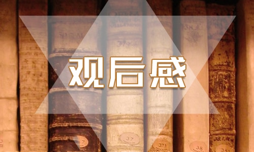 《三傻大闹宝莱坞》观后感400字5篇优秀范文