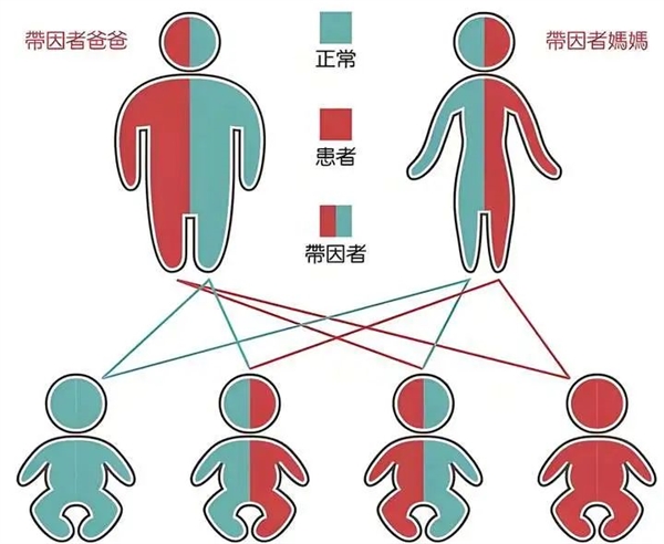 为啥动物世界有很多乱伦的情况？近亲繁殖对它们没影响吗？