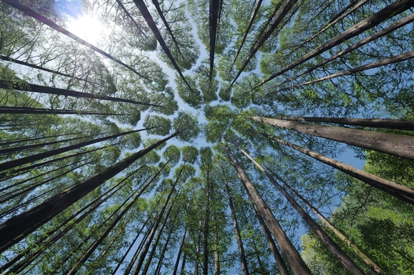 真正的变“废”为宝！科学家新研究：人类尿液可生产氮肥