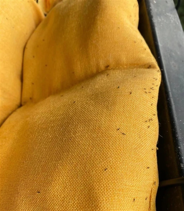 紧急提醒：最近不要穿黄颜色的衣服出门！