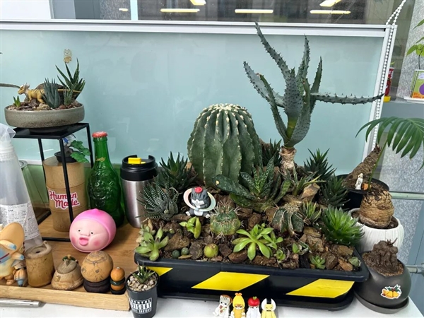 上班期间不会“高效休息”就亏大了!快来学学保证不后悔