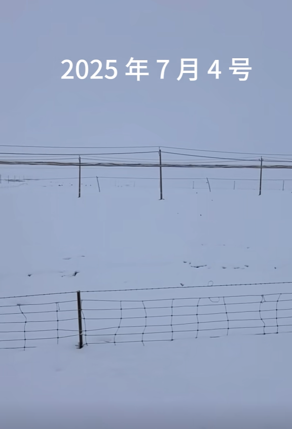 青海祁连七月飞雪 当地气象局回应:概率非常低