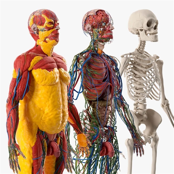 子弹卡在脂肪层 美国女子遇歹徒连中7枪奇迹生还！