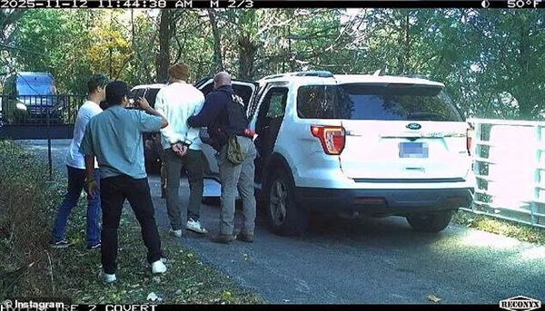 千万粉丝网红为博眼球烧掉价值40万美元的法拉利:却因逃税被抓