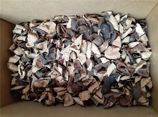 陈皮不就是晒干的橘子皮吗 为啥卖那么贵!