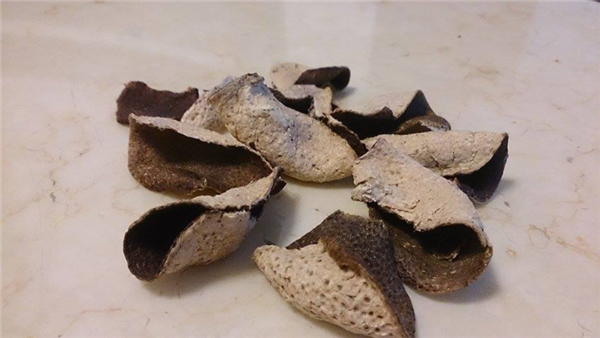 陈皮不就是晒干的橘子皮吗 为啥卖那么贵!