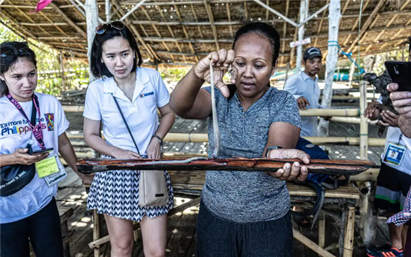 船蛆：地球上最独特的动物群体之一