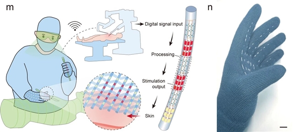 复旦团队重大突破 世界首款纤维芯片问世：大规模集成电路 卡车碾压也不怕