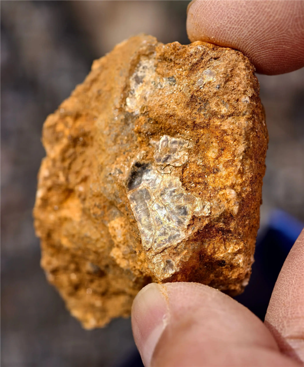 8岁男孩爬山识草疑发现金矿 官方回应：有可能