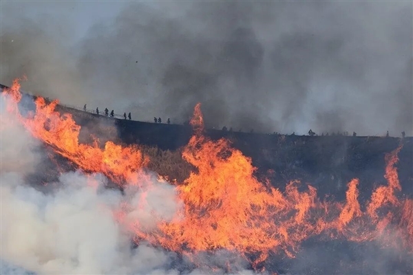 日本这座山不允许长树 每年都要烧一次！游客可付费体验