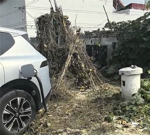错过服务区下高速充电 导航到被杂草覆盖的“吉利服”充电桩！车主：怕着火只敢充20%